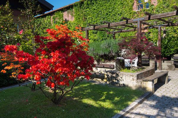 Foresteria Valdese Hotel Torre Pellice Exterior photo